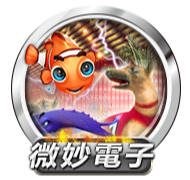 微妙電子