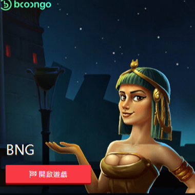 BNG電子